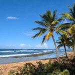 All-Inclusive Caribbean Resorts Families Teenagers: All-Inclusive Caribbean Resorts for Families With Teenagers: 6 Resorts That Actually Work