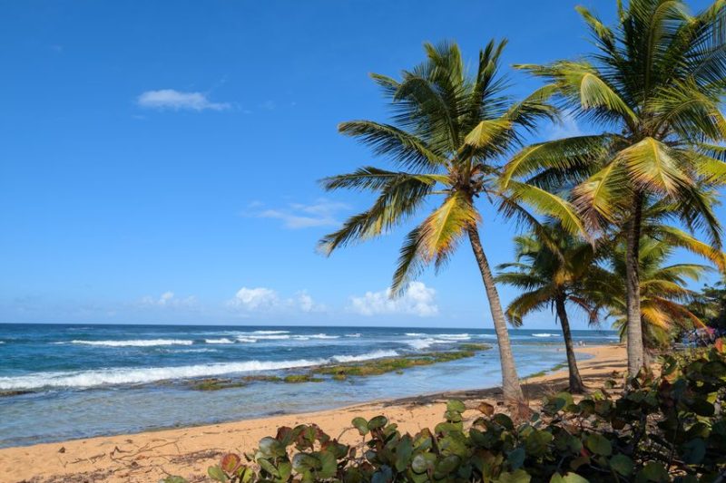 All-Inclusive Caribbean Resorts Families Teenagers: All-Inclusive Caribbean Resorts for Families With Teenagers: 6 Resorts That Actually Work