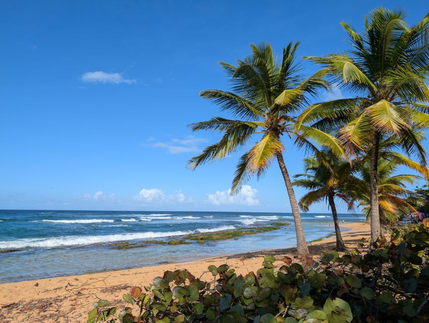 All-Inclusive Caribbean Resorts Families Teenagers: All-Inclusive Caribbean Resorts for Families With Teenagers: 6 Resorts That Actually Work