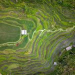 Bali 7-Day Itinerary 2026: Hidden Gems, Fewer Traps