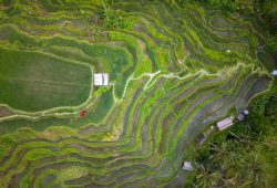Bali 7-Day Itinerary 2026: Hidden Gems, Fewer Traps