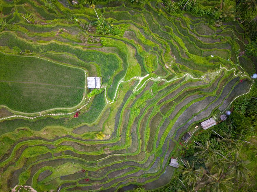 Bali 7-Day Itinerary 2026: Hidden Gems, Fewer Traps