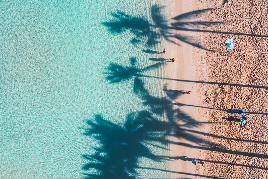 Stunning drone shot capturing palm tree shadows and turquoise waters on a tropical beach.