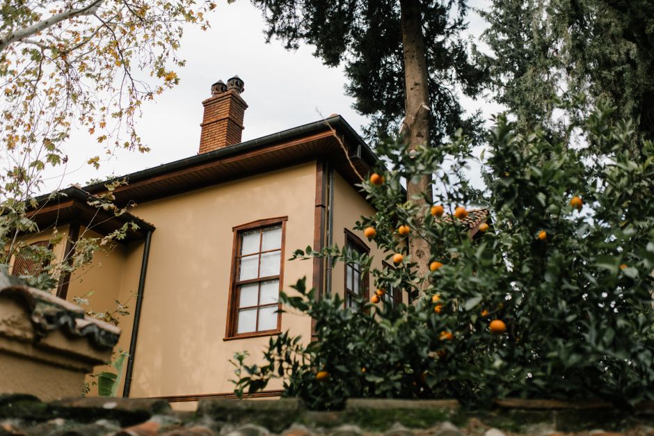 From below of tangerine tree growing near aged residential house in city district on cloudy day