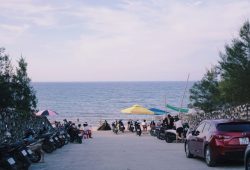 Budget Travel Vietnam: Urban Composting: A Complete Guide for City Dwellers
