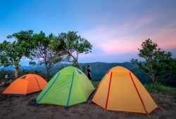 Camping Gear Qatar: Mastering the Art of Sourdough: A Comprehensive Guide