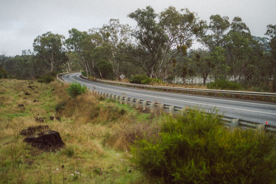 A tranquil road curves through a lush, green landscape surrounded by trees and bushes on a misty day.