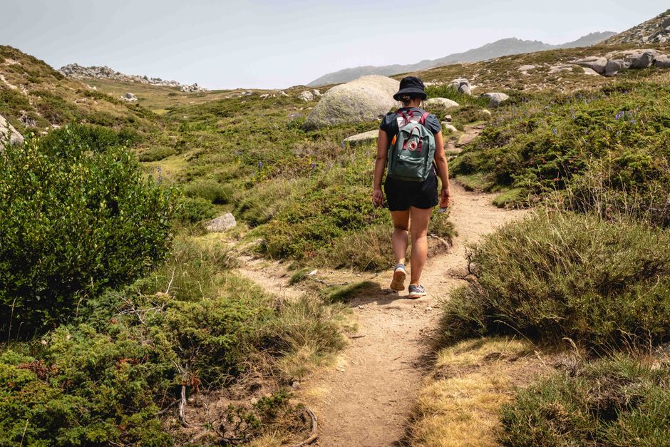 A person hiking through the scenic trails of Corsica's countryside, surrounded by lush greenery.