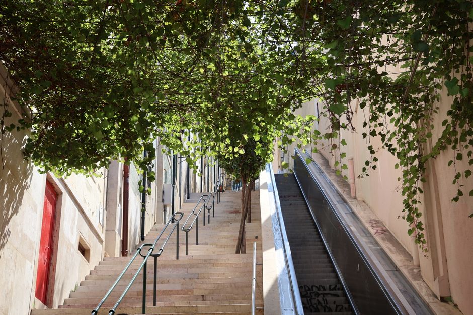 Scenic view of a staircase and escalator lined with lush greenery in Lisbon, Portugal.