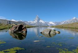 Hostelworld vs Booking.com: Best for Budget Backpackers?