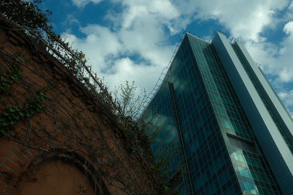 Glass skyscraper contrasted with brick wall and climber plants under a blue sky.