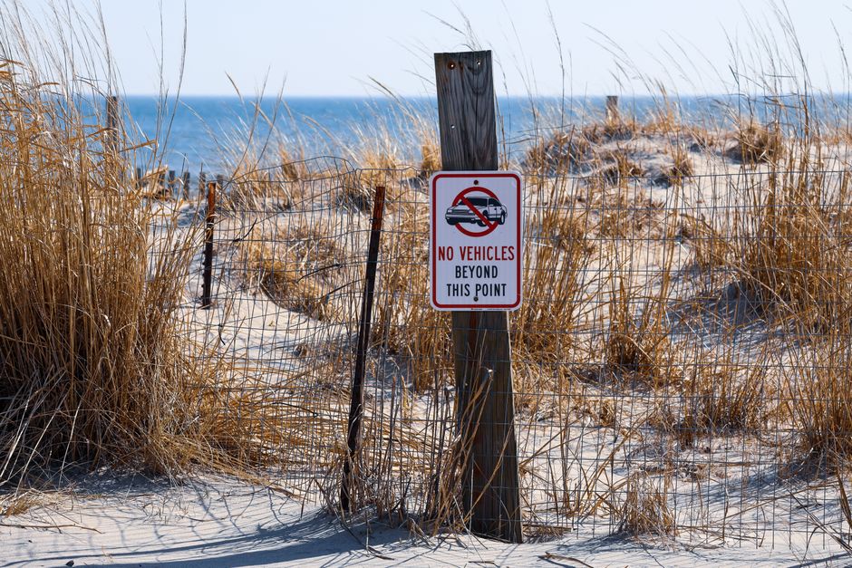 No vehicles allowed sign on a sandy beach with dry grass and ocean waves in the background.