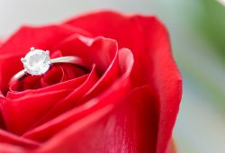 Engagement Rings 101: Diamond Cuts, Settings and Metals Explained