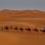 Marrakech Vs Fes Culture: Marrakech vs. Fes: Which Moroccan City Wins for Culture in 2026?