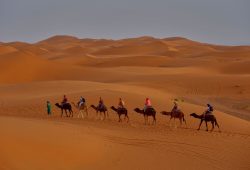 Marrakech Vs Fes Culture: Marrakech vs. Fes: Which Moroccan City Wins for Culture in 2026?