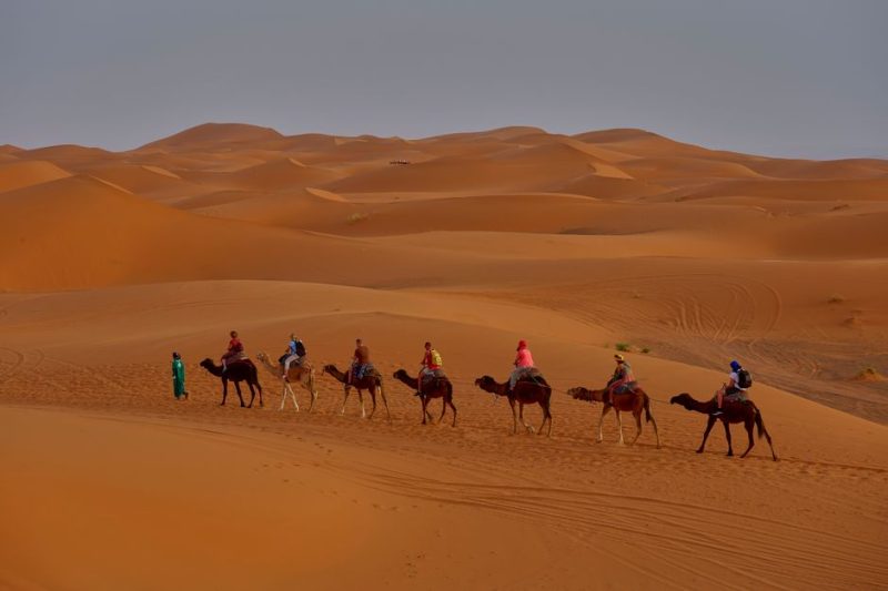 Marrakech Vs Fes Culture: Marrakech vs. Fes: Which Moroccan City Wins for Culture in 2026?