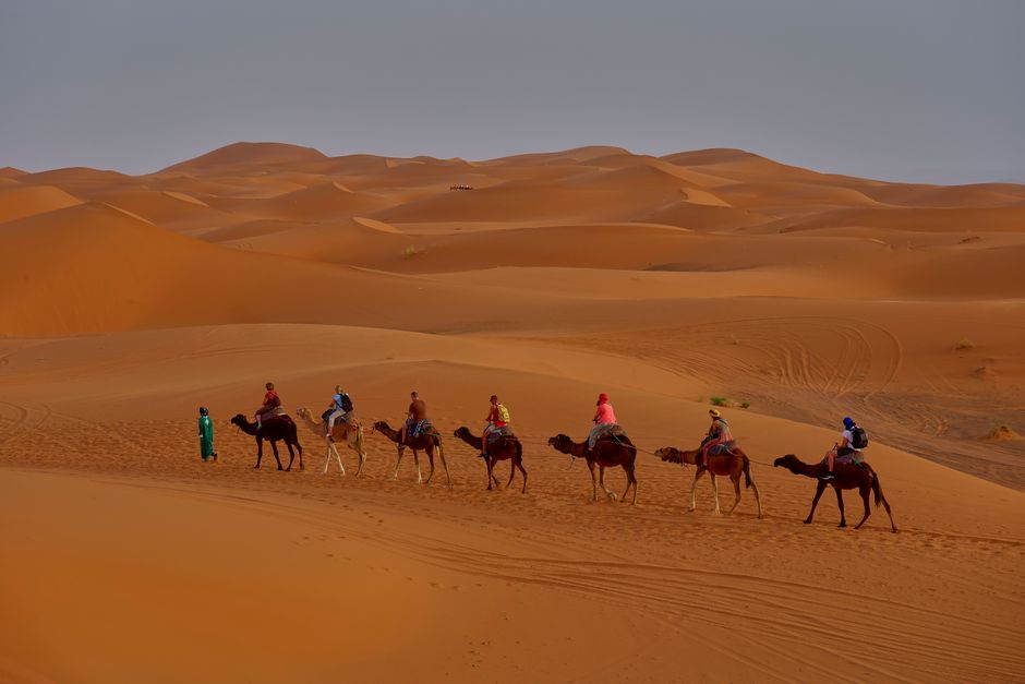 Marrakech Vs Fes Culture: Marrakech vs. Fes: Which Moroccan City Wins for Culture in 2026?