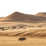 Solo Travel Namibia: What Nobody Tells You About Driving Alone