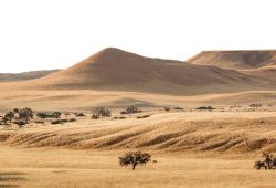 Solo Travel Namibia: What Nobody Tells You About Driving Alone