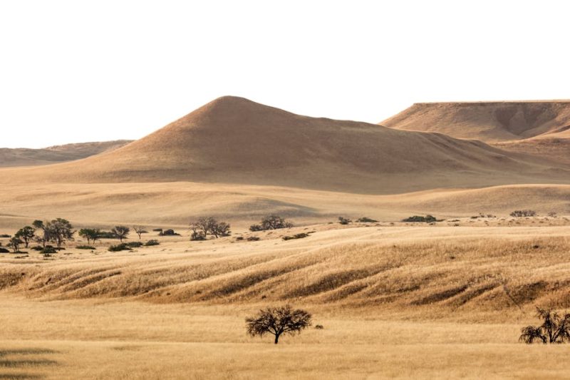 Solo Travel Namibia: What Nobody Tells You About Driving Alone