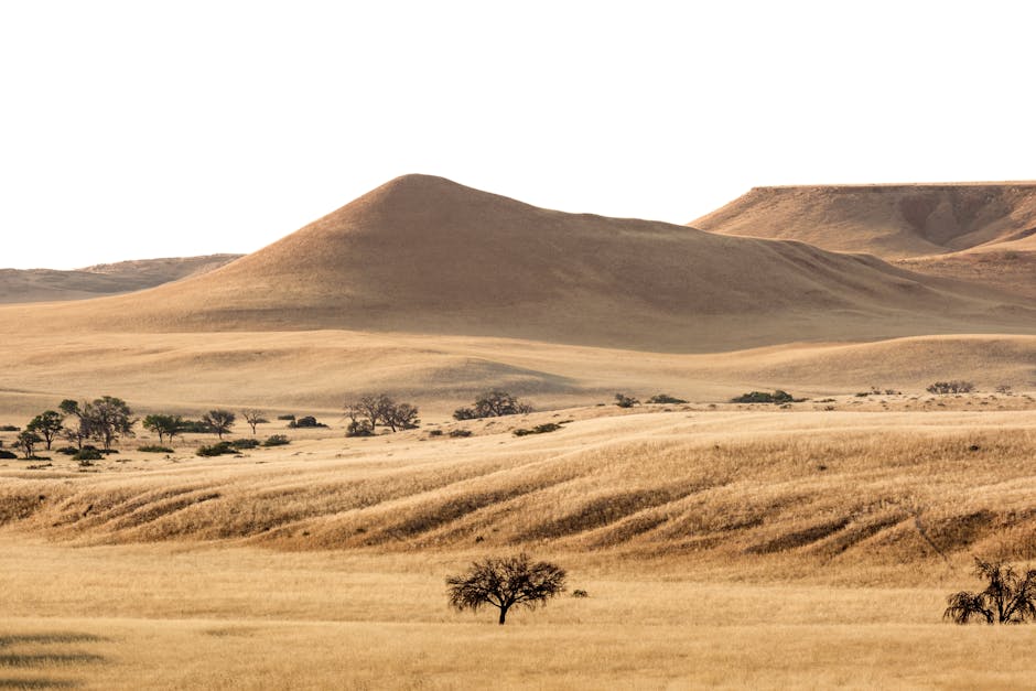 Solo Travel Namibia: What Nobody Tells You About Driving Alone