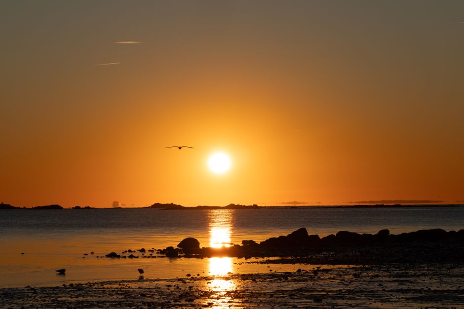 Tranquil winter sunrise at Cove Island Park in Stamford, Connecticut, highlighting a peace